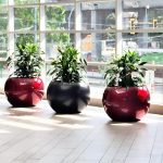Ruby planters, bishoplandscaping.ca