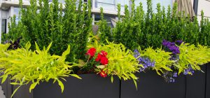 black-rectangular-durable-planters